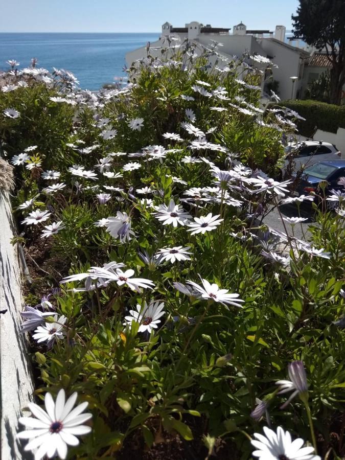 Espectacular Apartamento En Primera Linea De Playa ベナルマデナ エクステリア 写真